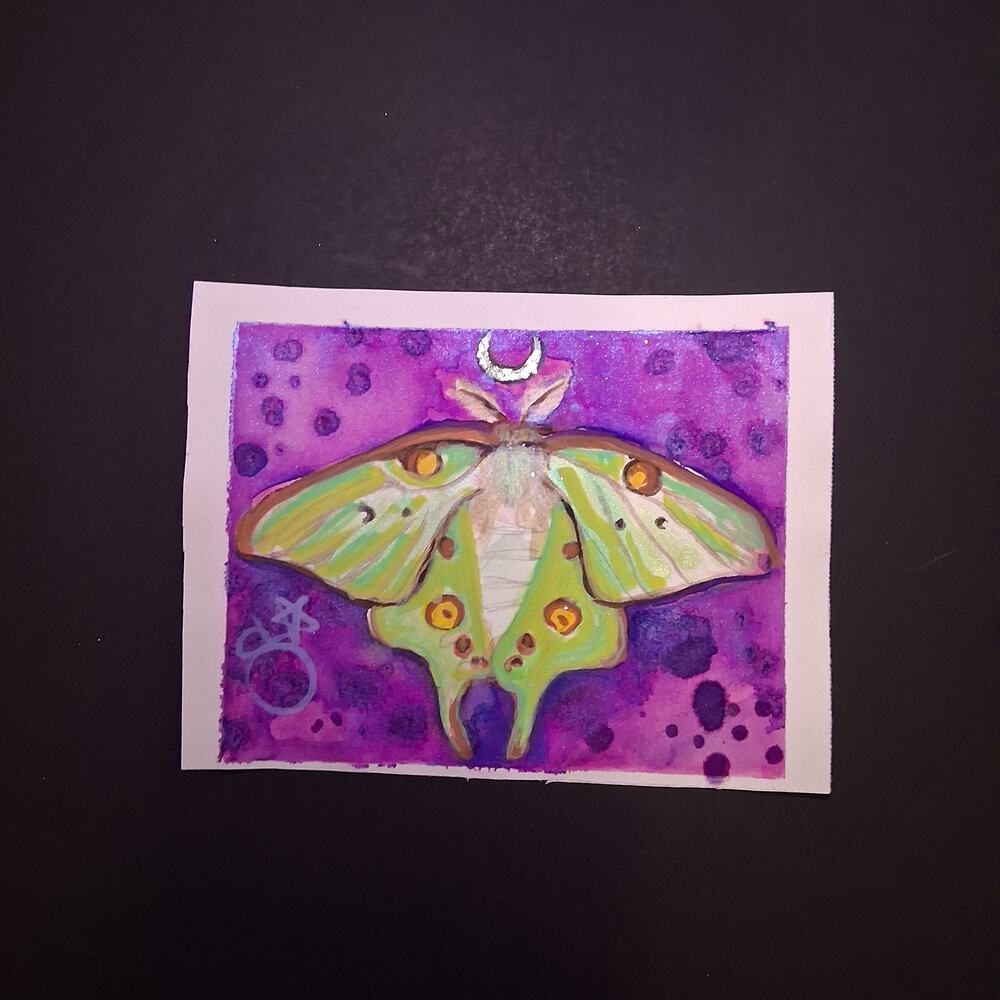 Luna Moth Painting Original